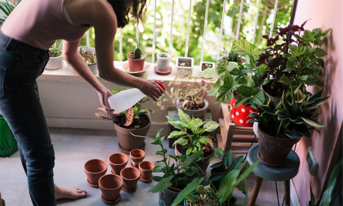 5 easy-to-follow tips to keep your indoor plants alive (and thriving!)