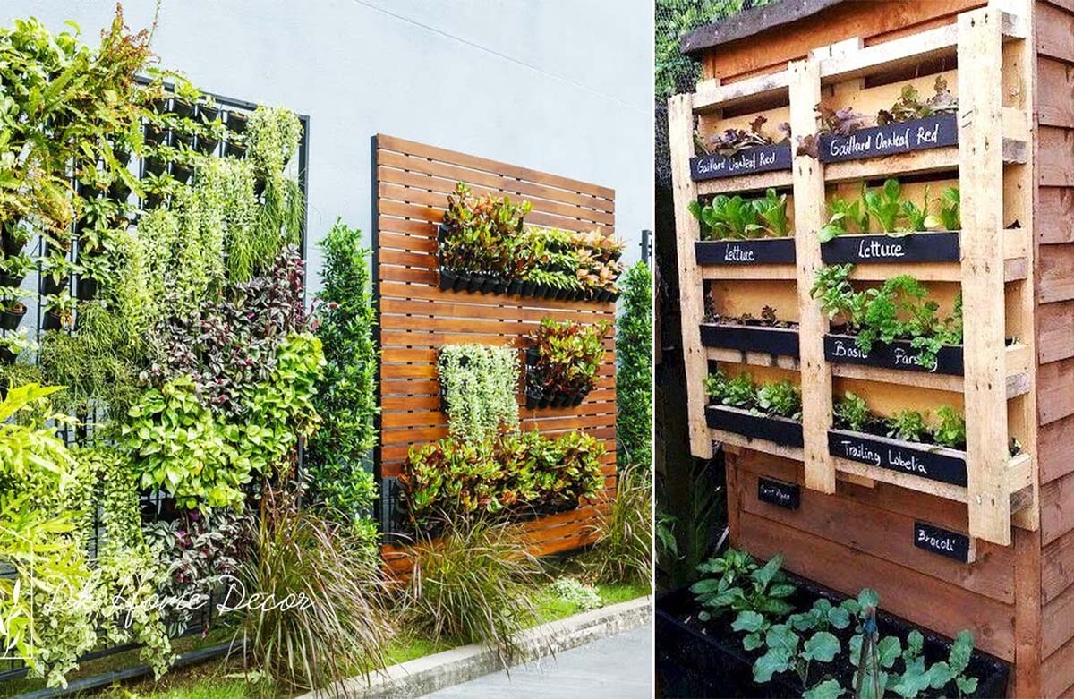 5 underutilized landscaping hacks ANYONE can do