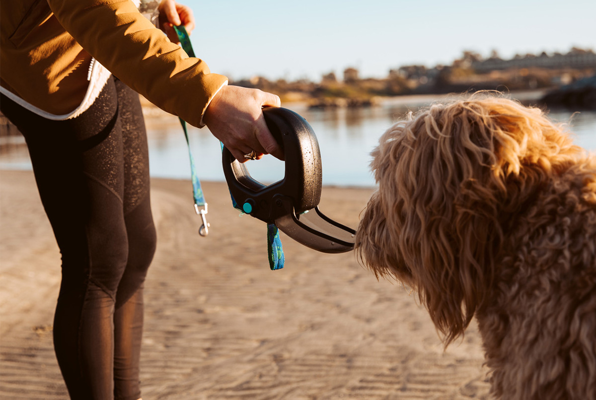 Spleash