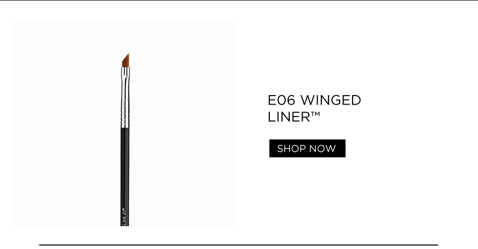 E06 Winged Liner