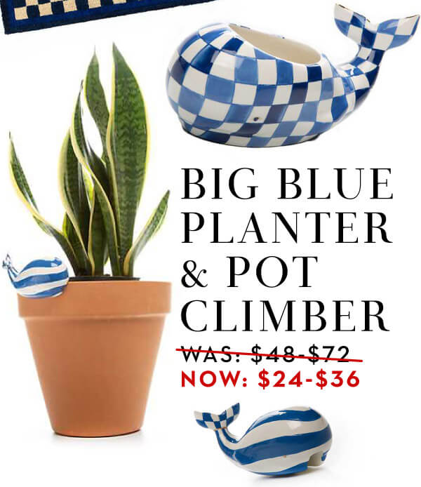 SHOP CLEARANCE