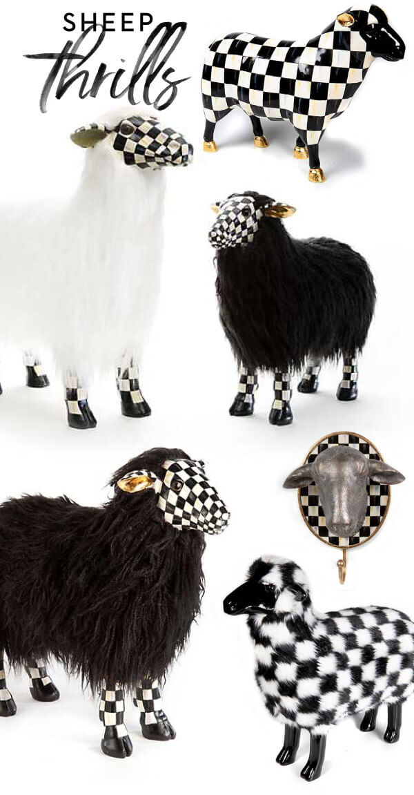 SHOP SHEEP & LAMBS