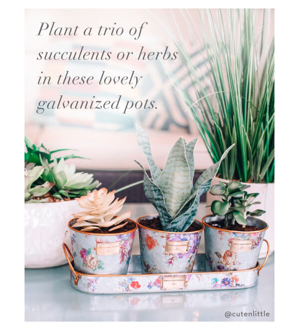 SHOP DECOR