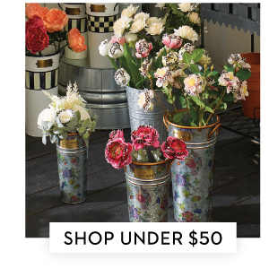SHOP UNDER $50