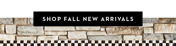 SHOP FALL NEW ARRIVALS
