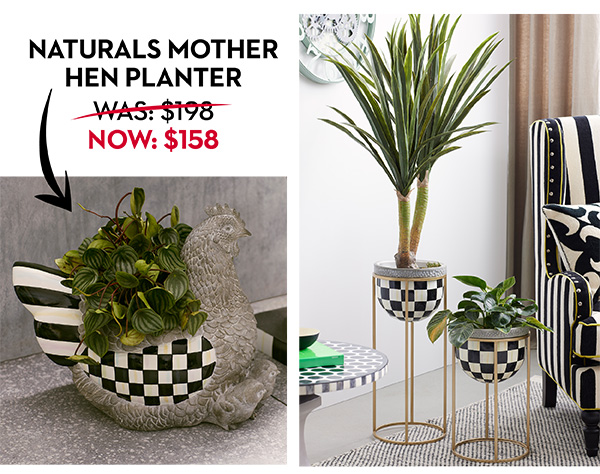 NATURALS MOTHER HEN PLANTER