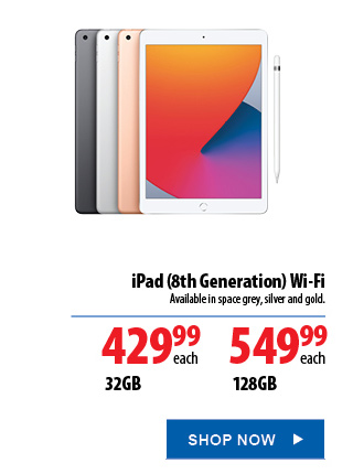 iPad 8th generation