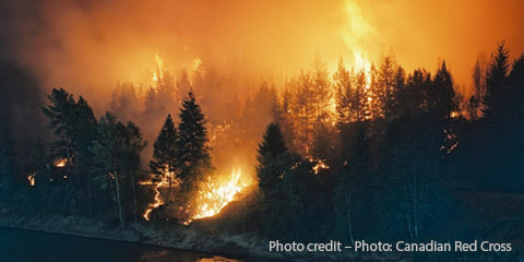 Blog Wildfires