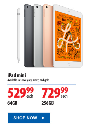iPad mini