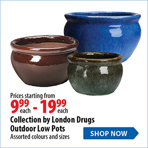 Collection by LD Outdoor Pots 