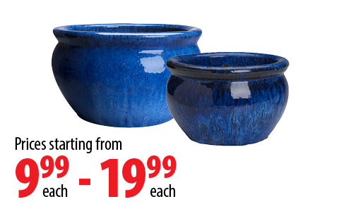 Collection by London Drugs Outdoor Low Pots