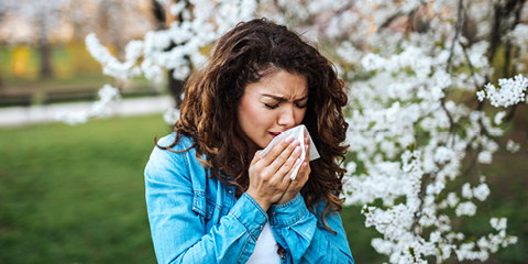 Allergy Season is Here