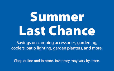 Summer Clearance