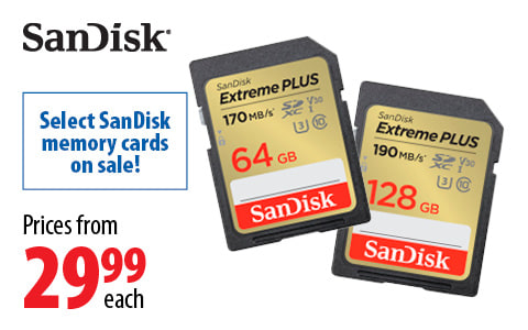 SanDisk