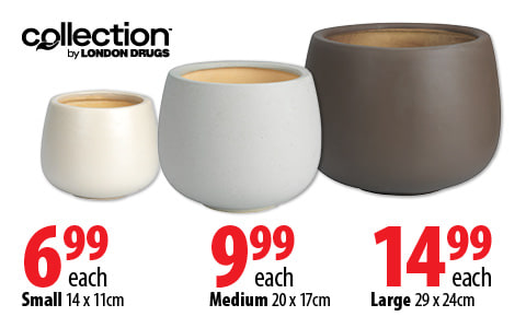 Collection by London Drugs