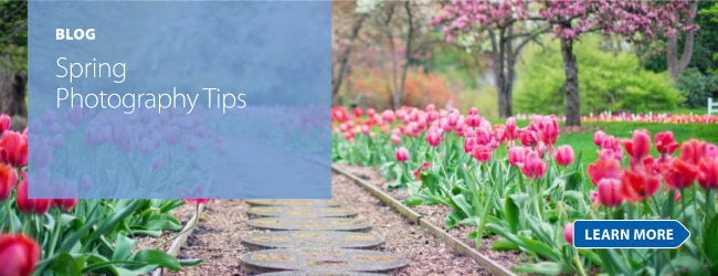 Spring Photography Tips