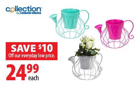 Collection by London Drugs