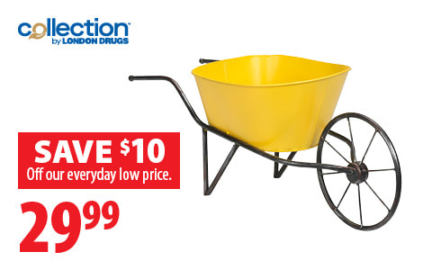 Collection by London Drugs
