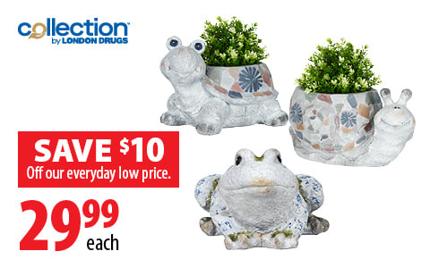 Collection by London Drugs