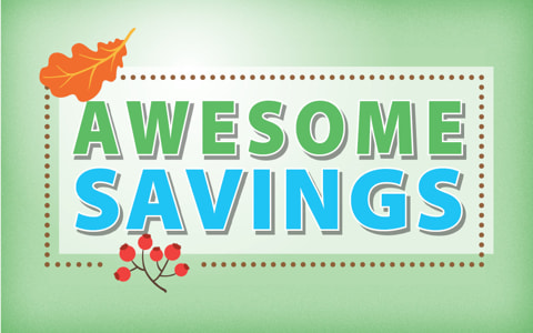 See All Flyer Deals