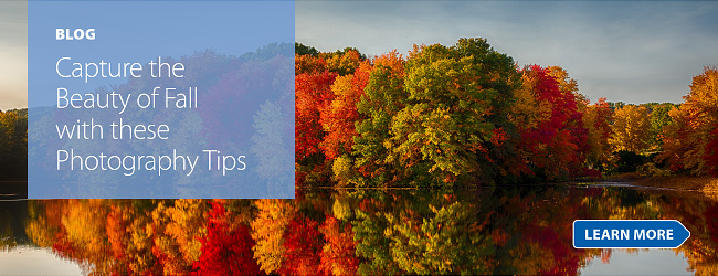 Capture the Beauty of Fall with these Photography Tips.