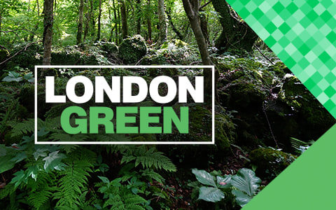 London Green