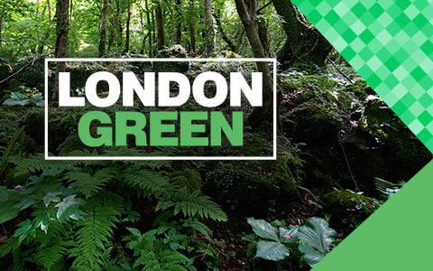 London Green