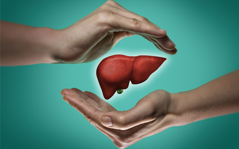 Liver Health