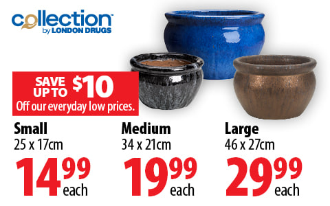 Collection by London Drugs