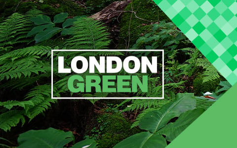 London Green