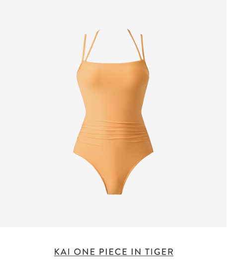 KAI ONE PIECE IN TIGER