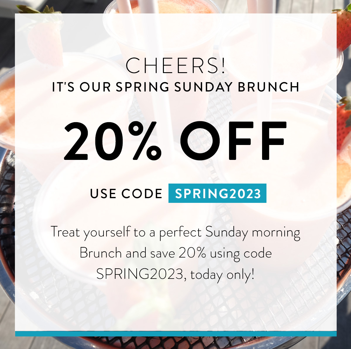 Cheers! It's our Spring Sunday Brunch 20% OFF USE CODE SPRING2023 Treat yourself to a perfect Sunday morning Brunch and save 20% using code SPRING2023, today only! Shop Now >