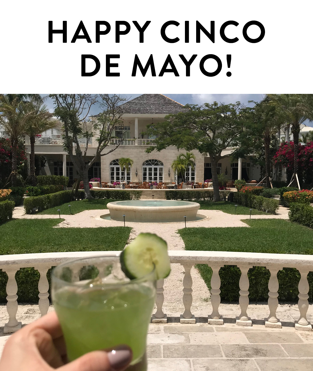 HAPPY CINCO DE MAYO!