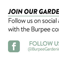 Burpee Facebook