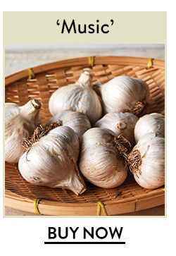 Garlic, Music