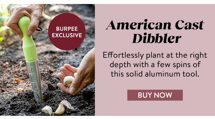 Burpee American Cast Dibbler