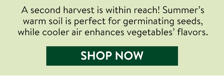 Shop All Harvest Vegetable Seeds & Plants