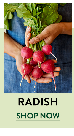 Shop Radishes