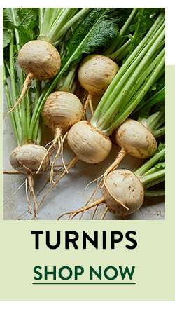 Shop Turnips