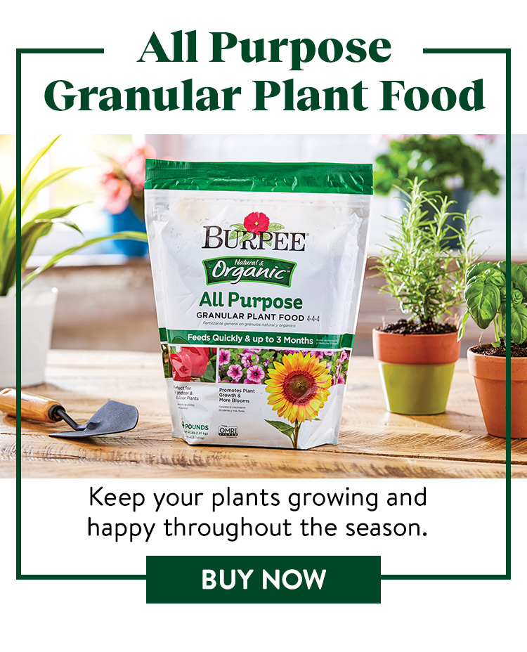 Burpee Natural Organic All Purpose Granular Plant Food 4-4-4