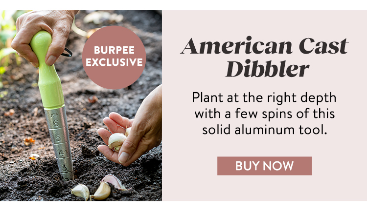 Burpee American Cast Dibbler