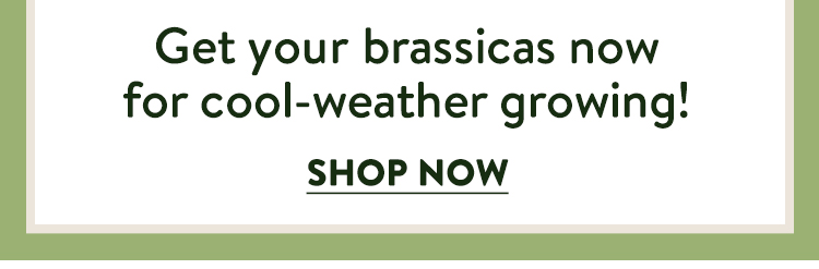 Shop All Brassicas