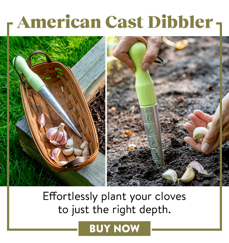 Burpee American Cast Dibbler