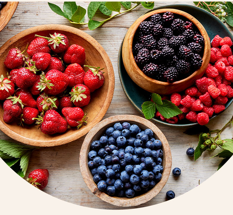 Shop All Fruit & Berry Plants