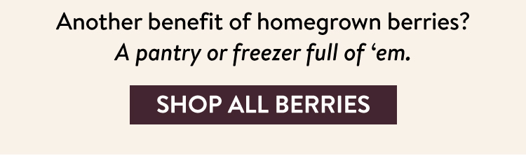 Shop All Fruit & Berry Plants