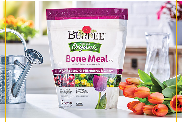 Burpees Natural Organic Bone Meal 6-8-0