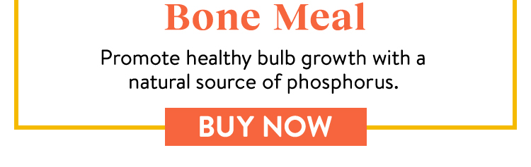 Burpees Natural Organic Bone Meal 6-8-0