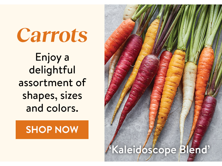 Carrots