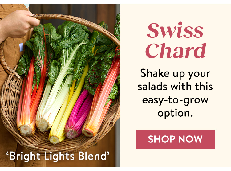 Swiss Chard