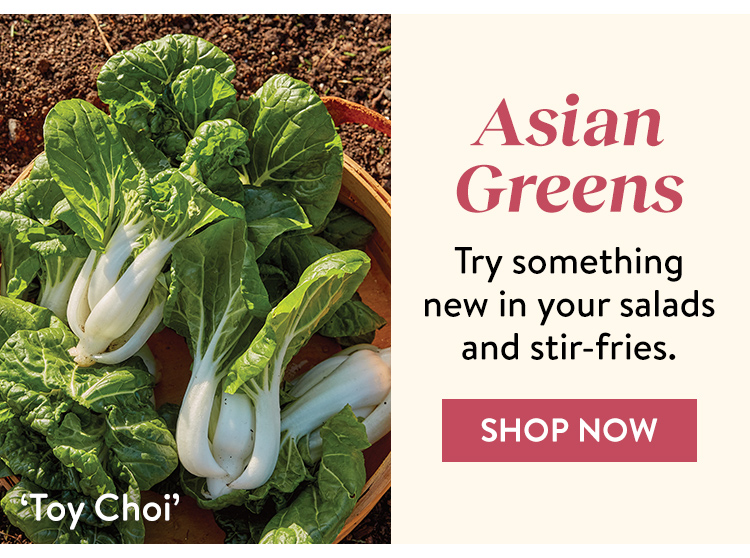 Asian Greens